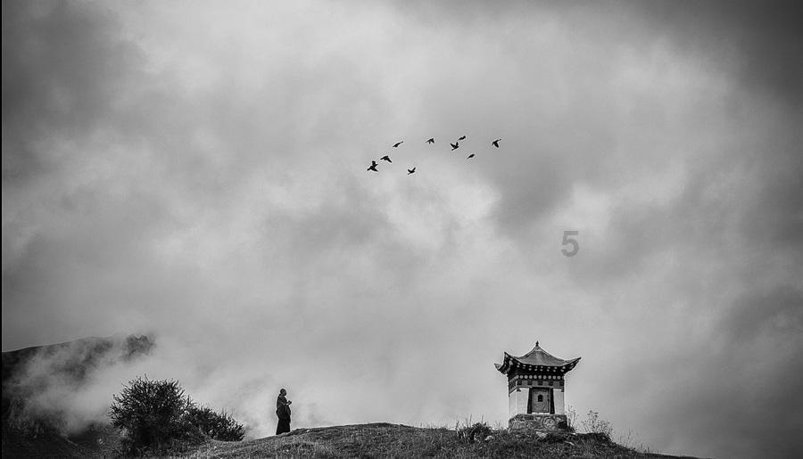 探秘吉鹿力问答社区,了解幼儿早教有必要学英语吗?热门话题