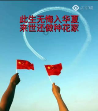 拯救精灵的土地10