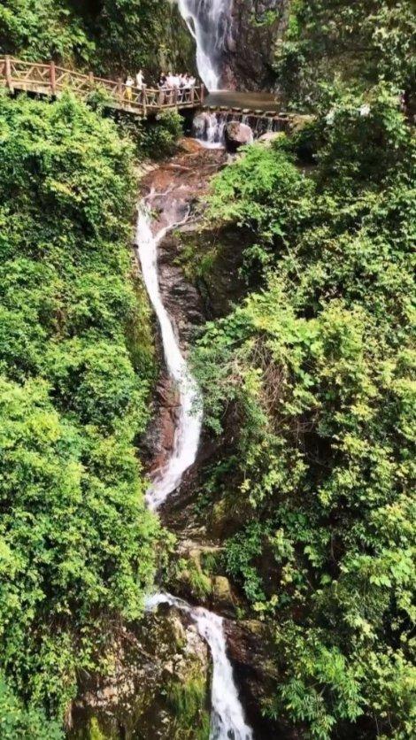小小兵团