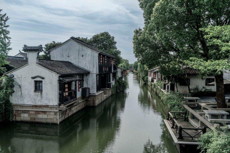 解救可爱的鸭子