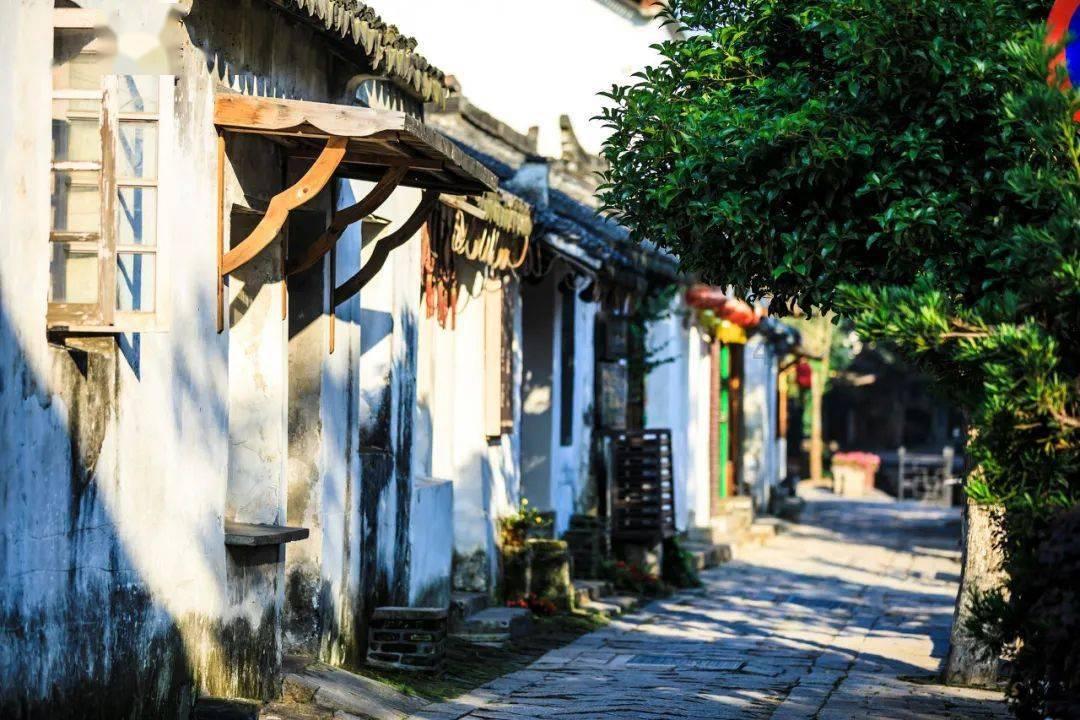 逗小猴开心系列194