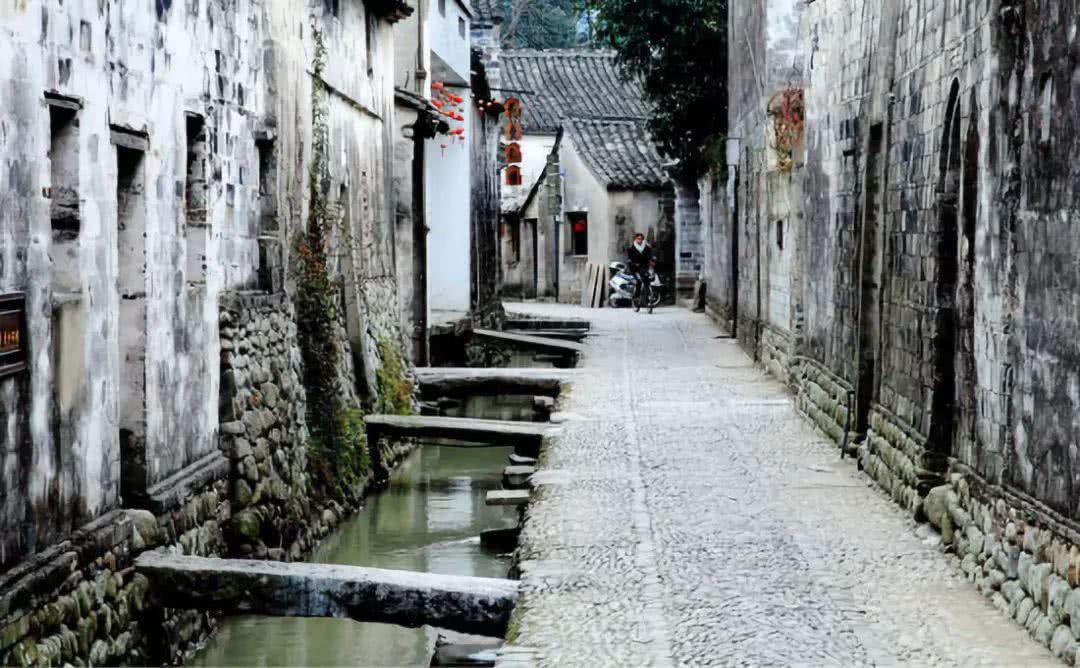 植物大战僵尸：花园战争