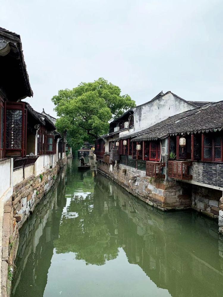 探索米兰和维罗纳的比赛中,罗威纳有哪些经典动作?平台,分享发现的乐趣